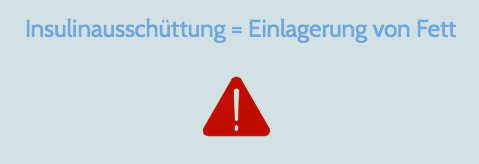 Insulinausschüttung führt zu Einlagerung von Fett