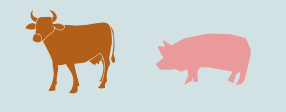 Schwein, Rind und Kalb sind Alternativen zum Hähnchen