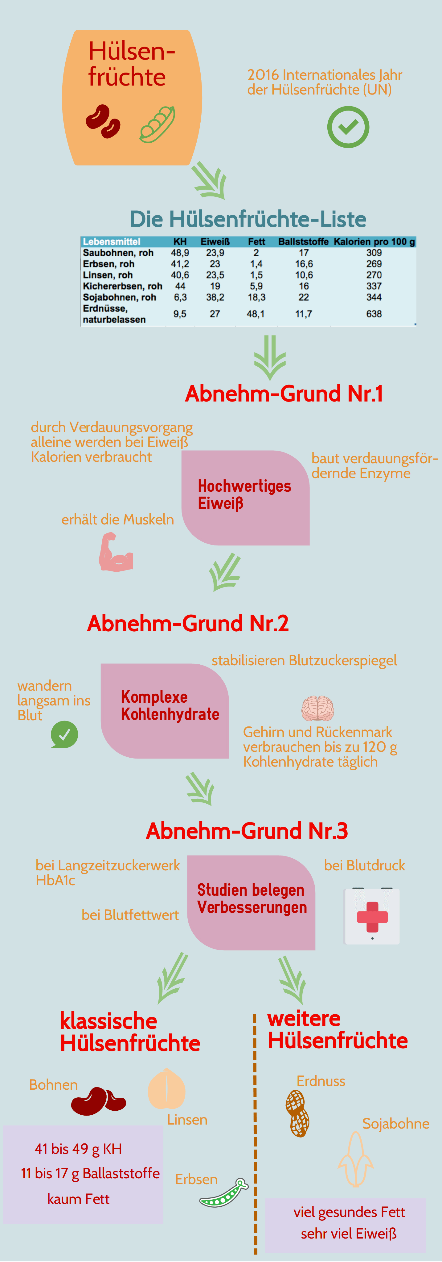 Infografik zur Hülsenfrüchte-Liste