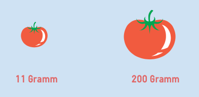 Das Gewicht von Tomaten liegt zwischen 11 Gramm und 200 Gramm