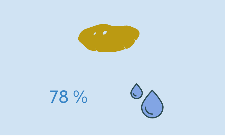 Kartoffeln enthalten rund 78 % Wasser