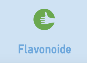 Flavonoide sind sehr gesund